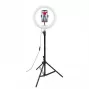 CELLY Ring Professional statiiv valgusega - 160cm, 10-tolline LED-ringvalgus, USB-toide, must