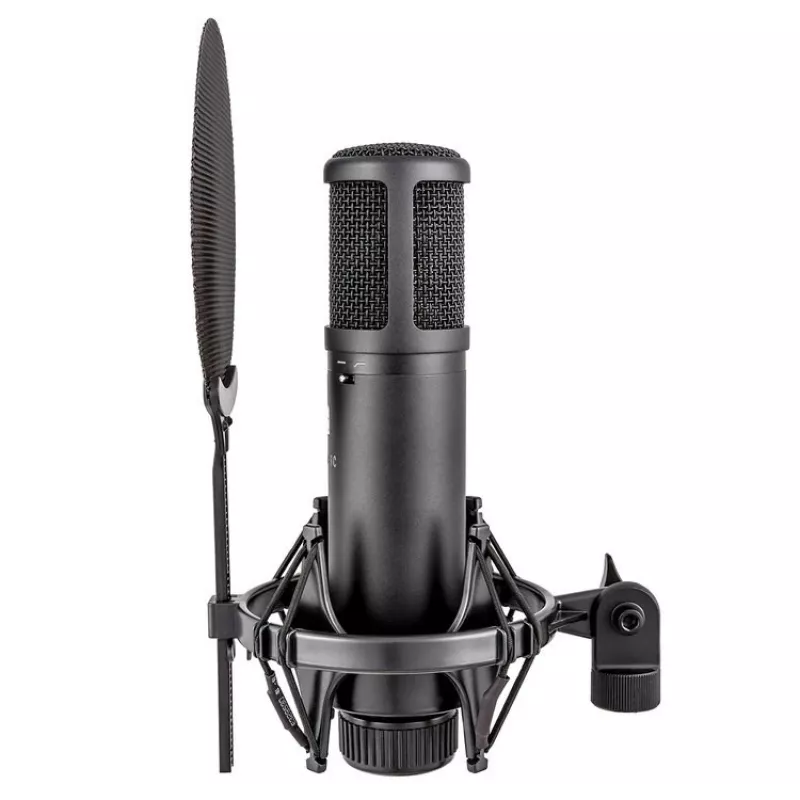 sE Electronics sE2200 Black Studio Kondensaatormikrofon