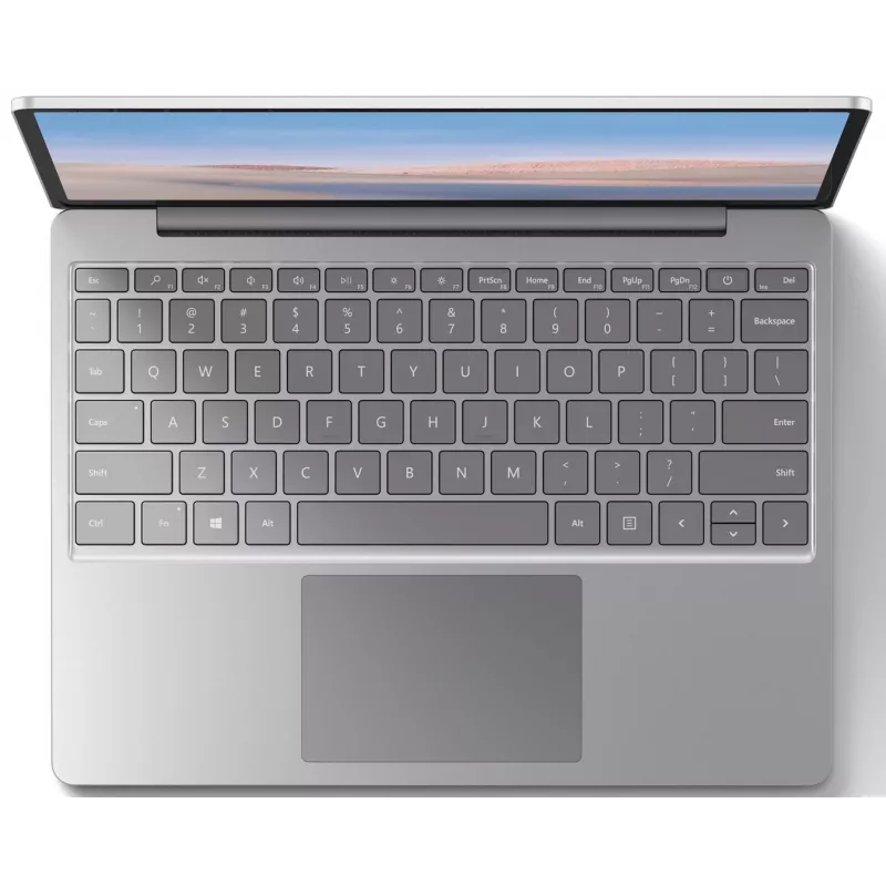 Microsoft Surface Go Intel Core i5-1035G4 8GB RAM 256GB SSD 12.3 inch Touchscreen Windows 10 Pro Platinum