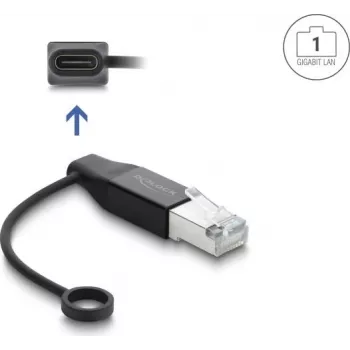 Delock USB Type-C võrguadapter Gigabit LAN 1 x RJ45 pistik