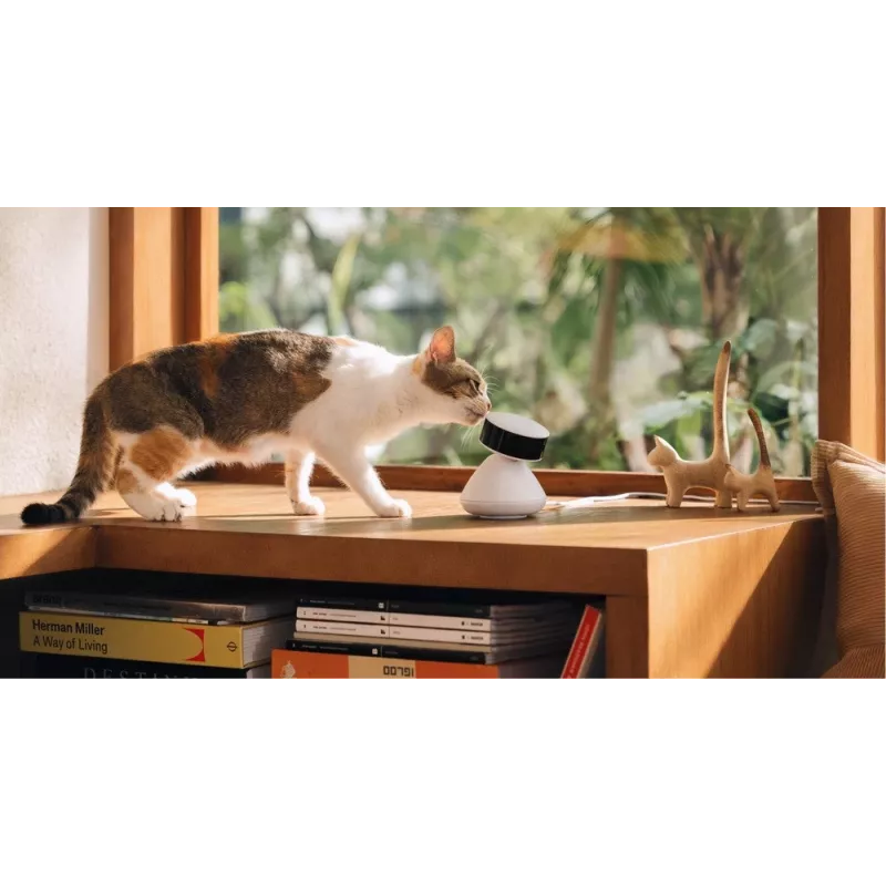 PETLIBRO Scout nutikas AI lemmikloomakaamera 1080p Full HD kahesuunalise heliga, öövaatlusega, liikumis- ja helituvastusega, 130° lainurk, Wi-Fi, MicroSD/pilvesalvestus, valge