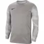 Nike Dry Park IV JSY LS GK meeste väravavahi dressipluus hall CJ6066 052 S
