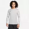 Nike Dry Park IV JSY LS GK meeste väravavahi pikkade varrukatega särk hall CJ6066 052 2XL