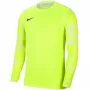 Nike Dry Park IV JSY LS GK Lubjakas väravavahi särk CJ6066 702 M