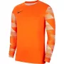 Nike Dry Park IV JSY LS GK meeste väravavahi dressipluus oranž CJ6066 819 XL