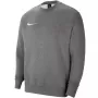 Nike Park meeste dressipluus tumehall Heather CW6902 071