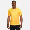 Nike Dri-FIT ADV Gardien IV meeste väravavahi särk Opti Yellow/Black M
