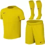 Nike Dri-FIT Park VIII laste jalgpallikomplekt kollane HV8260 719 XL