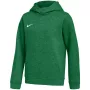 Nike Park 26 Fliisist Kapuutsiga Dress Lastele Roheline L