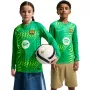 Nike FC Barcelona Stadium väravavahi laste jalgpallisärk 2026/27 roheline II3610 324 XL
