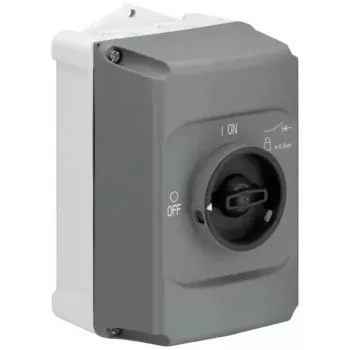 ABB STOTZ-KONTAKT Isolatsioonikarp IB132-G, 2-mooduliline, pinnale paigaldatav, IP30, valge (1SAM201911R1010)