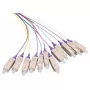 LOGILINK Fiiberpatside komplekt 12 x SC OM4 2m, värviline, violetse pistikuga