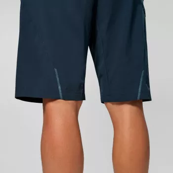 Salewa Pedroc 4 DST Cargo Lühikesed püksid meeste matkapüksid Blueberry L