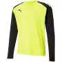 Puma teamPACER GK LS meeste väravavahi dressipluus kollane-must XL
