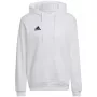 adidas Entrada 22 Hoody meeste dressipluus valge HG6302 M