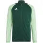 adidas Tiro 23 Competition meeste treeningdress Team Green HU1303