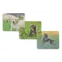 Hama Animal 4-pordiline USB 2.0 jaotur USB-C pistikuga, pruun/valge koera kujundusega