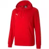 PUMA teamGOAL 23 Casual Hoody Punane