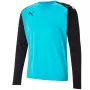Puma teamPACER GK LS meeste väravavahi dressipluus sinine-must XL