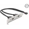 Delock USB 2.0 pesa kronstein 2 x EASY USB Type-A pordiga