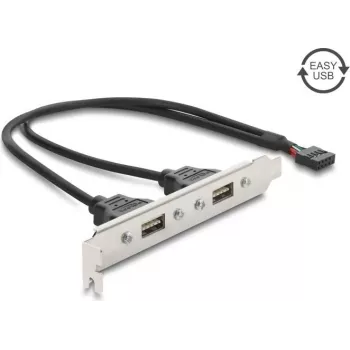 Delock USB 2.0 pesa kronstein 2 x EASY USB Type-A pordiga