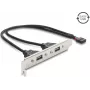 Delock USB 2.0 pesa kronstein 2 x EASY USB Type-A pordiga