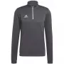 adidas Entrada 22 treeningpluus Grey Four M