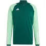 adidas Tiro 23 Competition Training meeste dressipluus Team Green HU1308