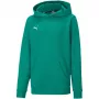 PUMA teamGOAL 23 Casuals Hoody Jr dress Forest Green 128