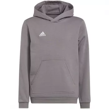 adidas Entrada 22 Dress Medium Grey Heather Lastele 128 cm