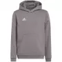 adidas Entrada 22 Dress Medium Grey Heather Lastele 128 cm