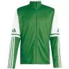 adidas Squadra 25 meeste jalgpalli treeningpluus Team Green/White JP3162 suurus M
