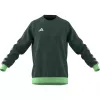 adidas Tiro 23 Competition Crew meeste dressipluus Team Green HU1324
