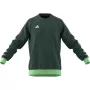 adidas Tiro 23 Competition Crew meeste dressipluus Team Green HU1324
