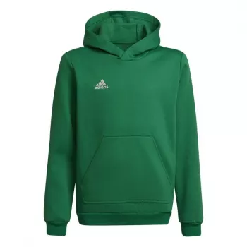adidas Entrada 22 Hoody laste dressipluus roheline 116cm