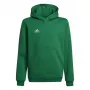 adidas Entrada 22 Hoody laste dressipluus roheline 116cm