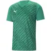 Puma teamULTIMATE meeste T-särk Forest Green S