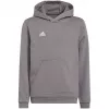 adidas Entrada 22 Hoody laste dressipluus hall 152 cm