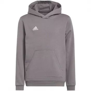 adidas Entrada 22 Hoody laste dressipluus hall 152 cm