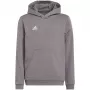 adidas Entrada 22 Hoody laste dressipluus hall 152 cm