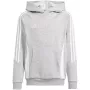 adidas Tiro 24 Kapuutsiga dressipluus noortele Hall 164 cm
