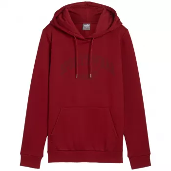 PUMA meeste Essentials+ Logo LAB dressipluus FL Burgundia suurus L
