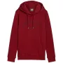 PUMA meeste Essentials+ Logo LAB dressipluus FL Burgundia suurus L