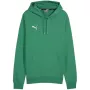 PUMA Team Goal Casuals Dressipluus Forest Night meeste M