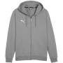 PUMA Team Goal Casuals Kapuutsiga dressipluus hall