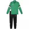 PUMA meeste Team Rise dress Pepper Green ja Puma Black suurus S