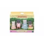 EPOCH Sylvanian Families Pärsia kassi pere