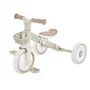 Tribike Õppimiskolmk 2-in-1 Plus 737-466