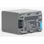 EXTRA DIGITAL asendusaku Sony NP-FP90 jaoks – InfoLITHIUM P-seeria Li-ion 7.2V 1220mAh