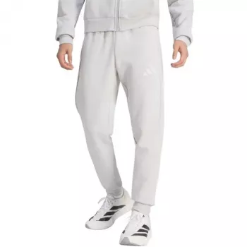 adidas Entrada 26 meeste dressipüksid, hall, suurus S (JZ9139)